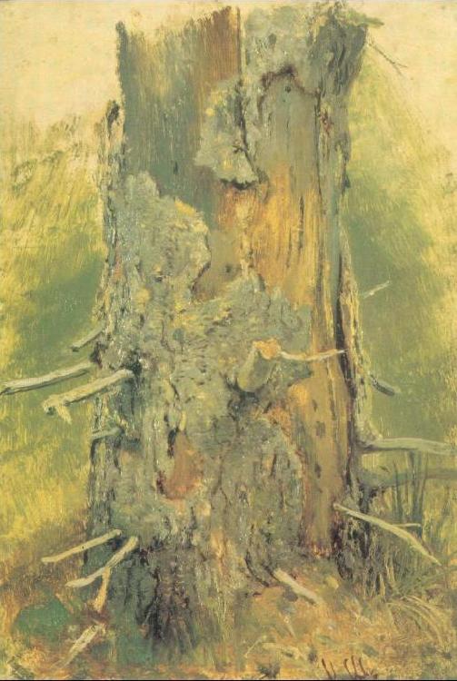 Ivan Shishkin Bark on Dried Up Tree France oil painting art